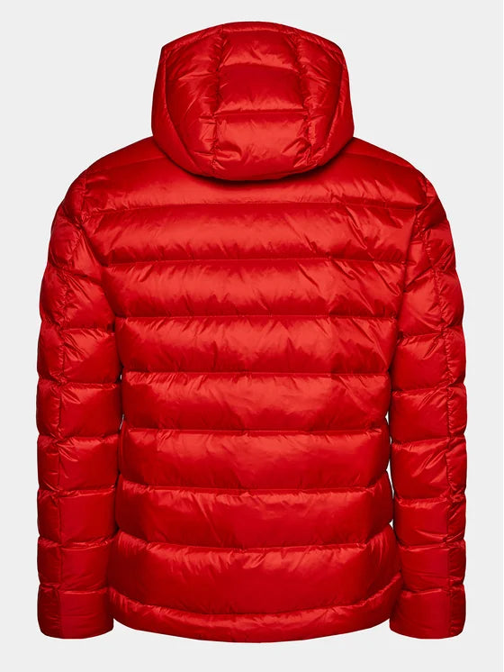 Giubbotti Uomo Blauer -  Imbottito Piuma - Rosso